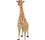 rent-giraffe-stuffed-toy