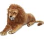 giant-lion-stuffed-prop