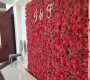 red-rose-flower-wall
